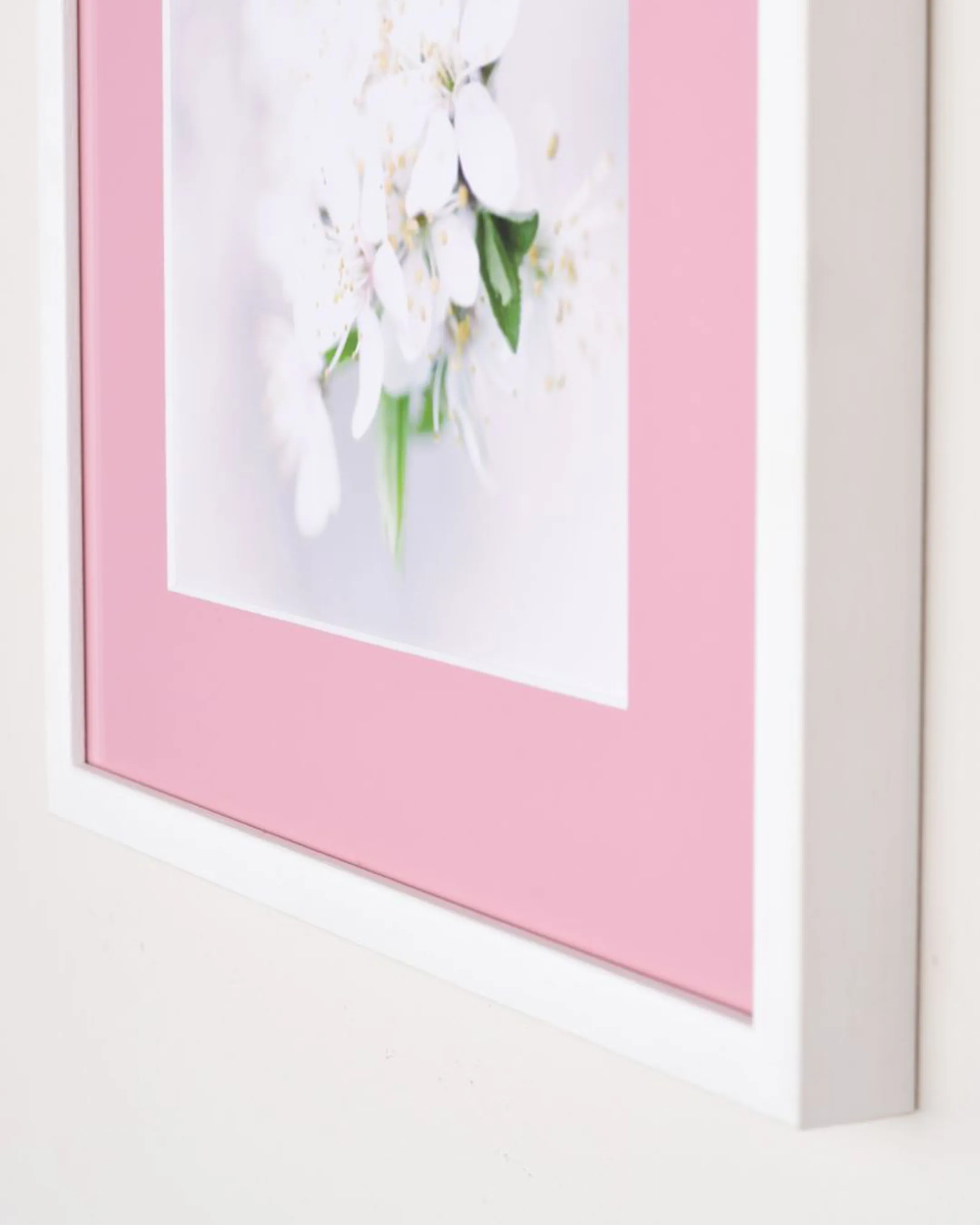 Passepartouts Rose 13 im Wohnraum