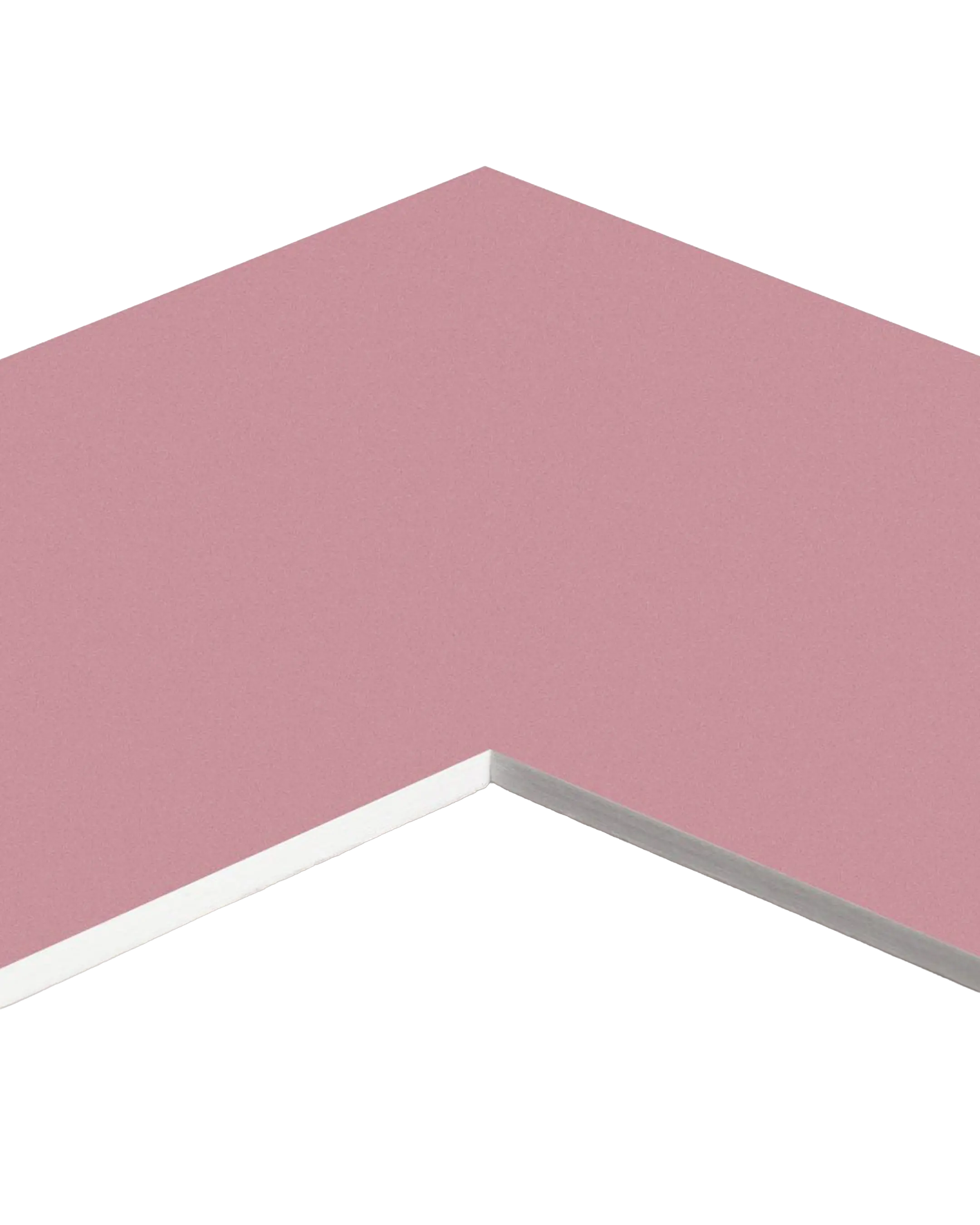 Passepartouts Rose 13 – Detailansicht